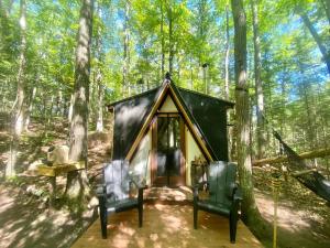 Afbeelding uit fotogalerij van Sailor Springs Glamping in Bayfield