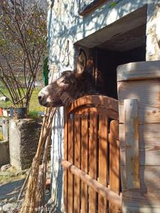 une statue d'une chèvre fixant sa tête au-dessus d'une clôture dans l'établissement Cascina Gervasoni, à Madonna della Costa