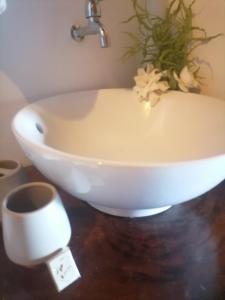 a white sink sitting on top of a table at Rancho de Moncho in Bijagua