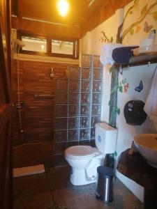 a bathroom with a toilet and a shower and a sink at Rancho de Moncho in Bijagua