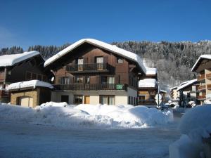 Appartement Les Gets, 1 pièce, 3 personnes - FR-1-671-85 during the winter