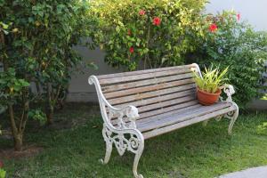 Zahrada ubytování Hotel La Roussette