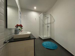 y baño con lavabo y ducha. en Cathedral Barcelona Rooms en Barcelona