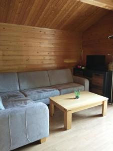 a living room with a couch and a coffee table at Landhaus/Holzhaus in Bad Wünnenberg