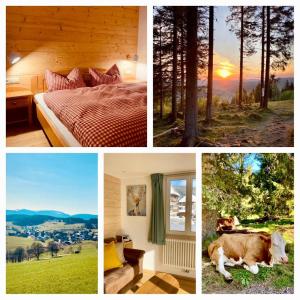 a collage of pictures of a bedroom with a cow at Gästehaus Steiert Fewo Kuhbergblick in Lenzkirch