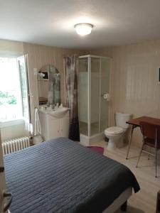 a bedroom with a bed and a shower and a toilet at Hôtel Restaurant de la Gare (Studios Du Breuil) in La Roche-Posay