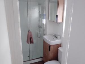 a bathroom with a shower and a sink and a toilet at Natur-Campingplatz Salemer See in Salem +10 photos