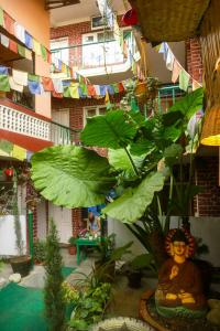 a large green plant in a room with a statue at Nirvana Green Peace Home in Kathmandu