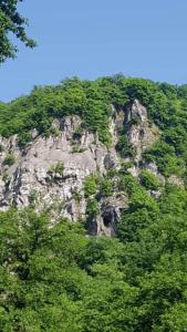 een rotsachtige berg met bomen ervoor bij Ruzigar Guesthouse in Sım