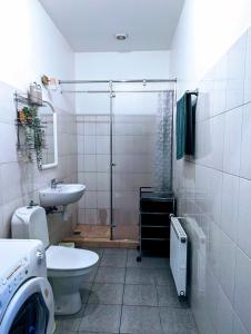 een badkamer met een douche, een toilet en een wastafel bij Little Cozy Place in Sigulda