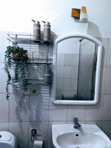 een badkamer met een wastafel, een spiegel en een toilet bij Little Cozy Place in Sigulda