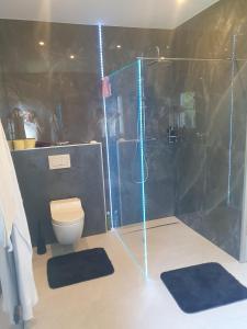 a bathroom with a shower and a toilet and mats at Luxury - Loft in Villach