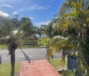a street with palm trees on the side of a road at Copacabana 4 61 Sandy Point Rd - water views, air con and WiFi in Corlette