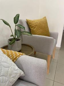 a living room with a couch and a potted plant at Ambré Guesthouse in Francistown