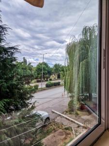 a window view of a street with a tree at Boulevard Apartments in Kumanovo