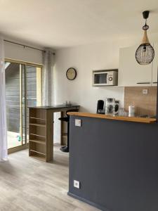 Η κουζίνα ή μικρή κουζίνα στο Les Mélèzes 2 Studio