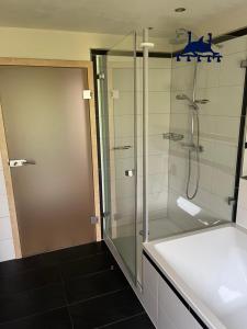 a bathroom with a glass shower and a sink at Ferienwohnung Martin und Tanja Klumpp in Baiersbronn