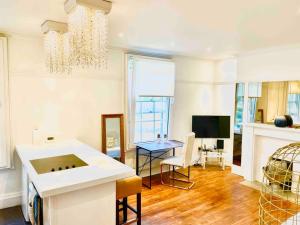 劍橋的住宿－EMMANUEL HOUSE LOVELY 1 - BEDROOM APT IN HISTORICAL BUILDING CENTRAL CAMBRIDGE，厨房以及带吊灯的起居室。