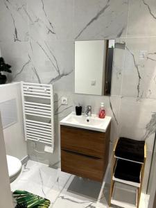 uma casa de banho com um lavatório e um WC em studio très agréable em Roubaix