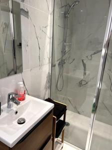 uma casa de banho com um lavatório e um chuveiro em studio très agréable em Roubaix