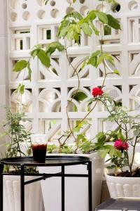 une table avec un verre à côté de certaines plantes dans l'établissement Villa 26-28 Châu Đốc, à Chau Doc