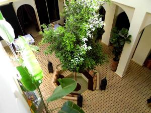 a room with potted plants on the floor at Riad Signature in Marrakesh