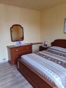 1 dormitorio con 1 cama y vestidor con espejo en Gli Aristogatti en Campo Tizzoro