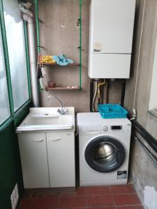 lavadero con lavadora y fregadero en Gli Aristogatti en Campo Tizzoro