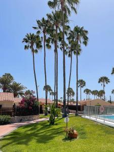 a yard with palm trees and a swimming pool at Bungalow near Yumbo in Playa del Ingles