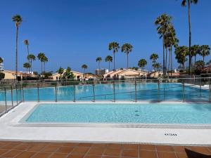 a large swimming pool in a resort with palm trees at Bungalow near Yumbo in Playa del Ingles