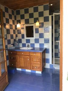 a bathroom with a sink and a mirror at Charming cottage, 10 minutes from Ax les Thermes in Unac