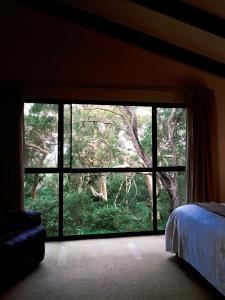a bedroom with a large window with a view of a forest at Karriview in Gracetown