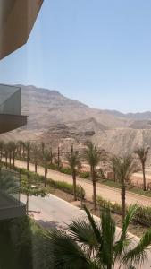 a view of the desert from a building with palm trees at Il monte galala in Ain Sokhna