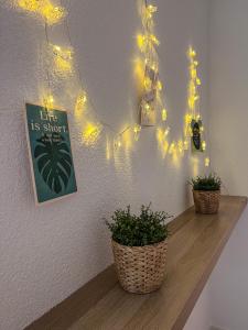 two plants sitting on a shelf with lights at Bergoase Relax&Spa in Unteropfingen