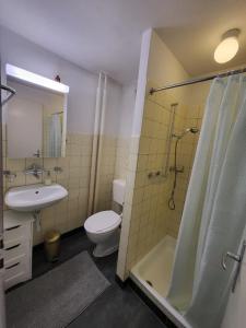 een badkamer met een toilet, een wastafel en een douche bij Casa Maria Apartments in Solothurn