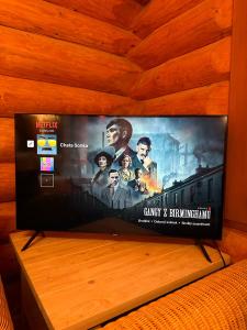 a flat screen tv sitting on a wooden wall at Cabin Sonka in Oščadnica