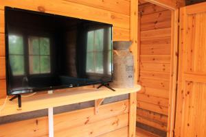 TV a/nebo společenská místnost v ubytování Chalet Estive