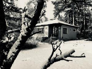 Fotografie z fotogalerie ubytování Chata na Vyžlovce v destinaci Vyžlovka