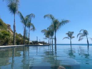 una piscina de agua con palmeras en una playa en Paradisun Villajoyosa, en Villajoyosa