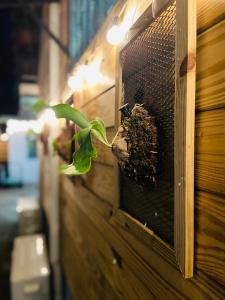 Fotografija v galeriji nastanitve 家暖暖,老屋新生,房源內有戶外空間,嘉義市民宿013號 v mestu Chiayi