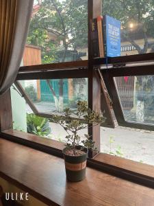 a plant sitting on a window sill next to a book at BabaHouse-Homestay Thành phố Vinh in Bến Thủy