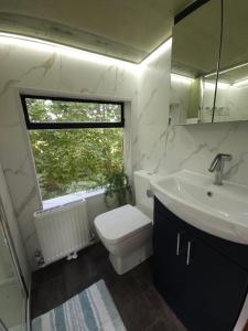 a bathroom with a sink and a toilet and a window at The Bus Stop in Stokesley