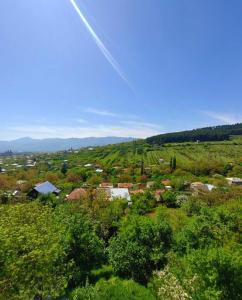 una vista de una pequeña ciudad en un campo en GUEST HOUSE 'KIDOBANI', en Surami