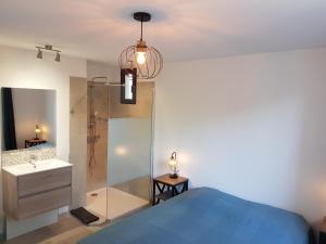 a bedroom with a shower and a bed and a sink at Maison avec piscine in Vaison-la-Romaine