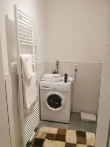 ein kleines Bad mit einer Waschmaschine in der Unterkunft Apartment in Natrup-Hagen 