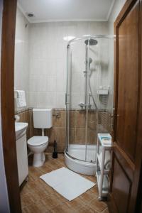 ein Bad mit einer Dusche und einem WC in der Unterkunft Macao Apartmani in Vinkovci