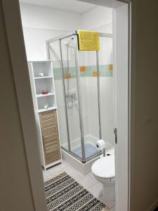 a bathroom with a shower and a toilet at Ocean SC Apartment in Santa Cruz