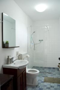 a bathroom with a toilet and a sink and a shower at Casa Humulesti, fii vecinul lui Ion Creanga in Tîrgu Neamţ