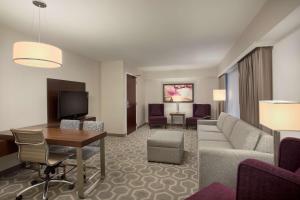 TV a/nebo společenská místnost v ubytování Embassy Suites by Hilton Washington D.C. Georgetown