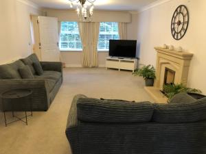 a living room with couches and a fireplace and a television at Cherry Tree house in Wellington